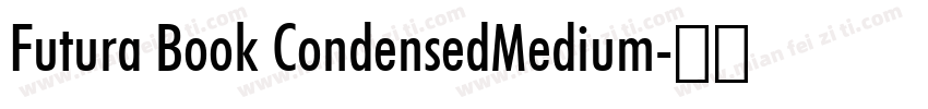 Futura Book CondensedMedium字体转换